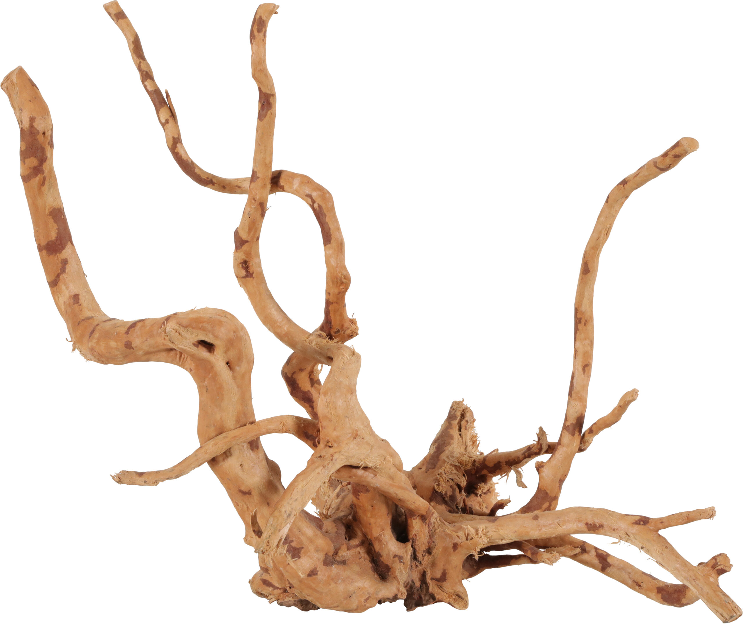 Racines naturelles