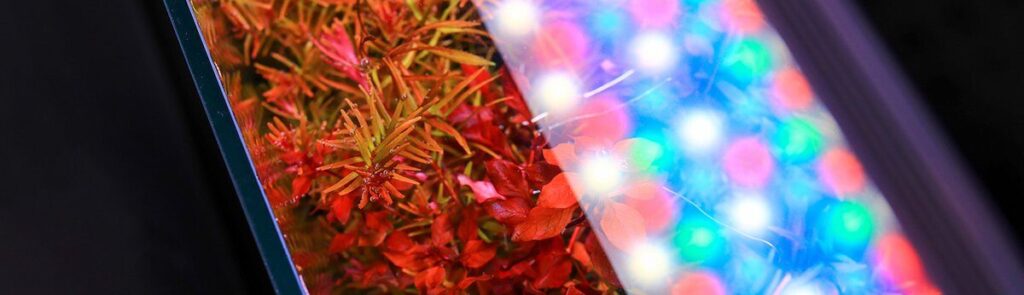 eclairage 1 e1745065379364