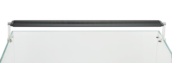 CHIHIROS A II 351 (35cm) – Image 3