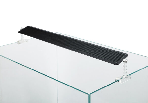 CHIHIROS A II 351 (35cm) – Image 2