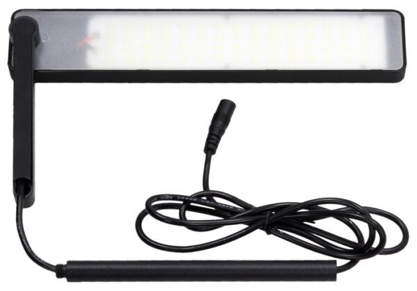 CHIHIROS C II (20-35 cm) – Image 3