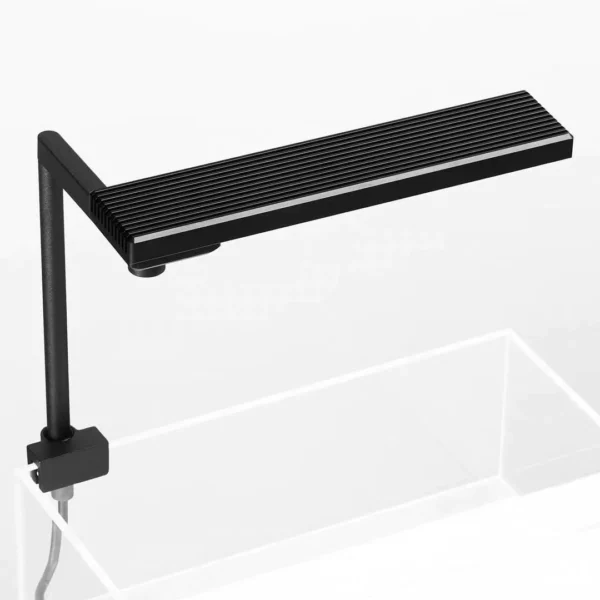 CHIHIROS C II (20-35 cm) – Image 2