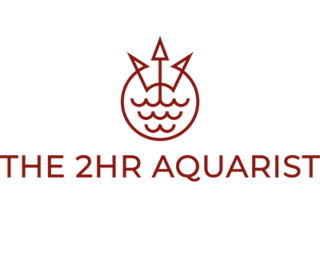 THE 2HR AQUARIST
