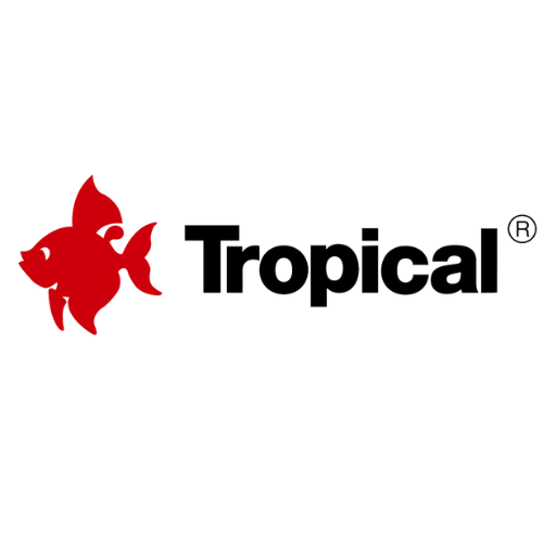 TROPICAL