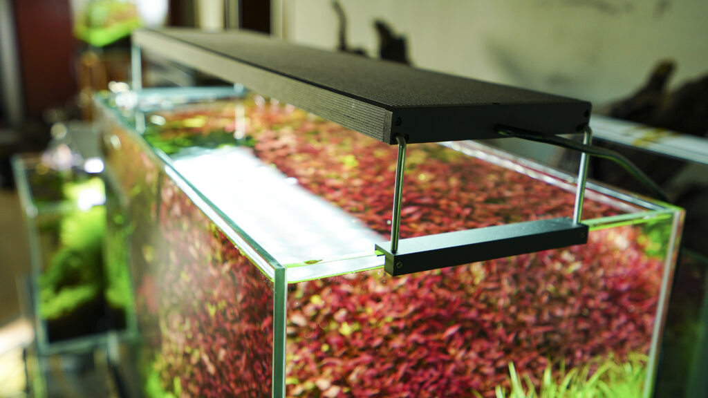 rampe led aquarium planté