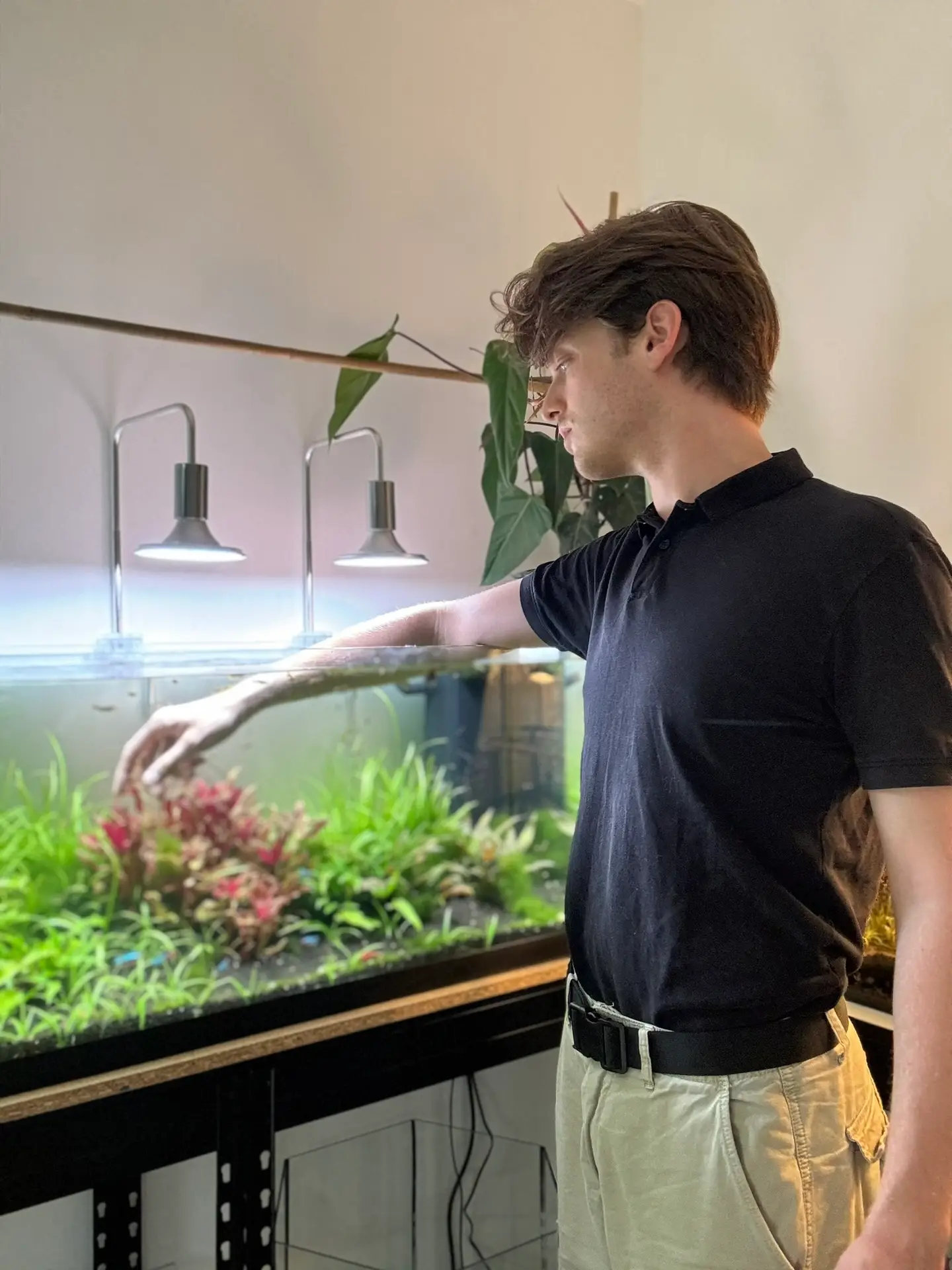 nettoyage algues aquarium scaphandr