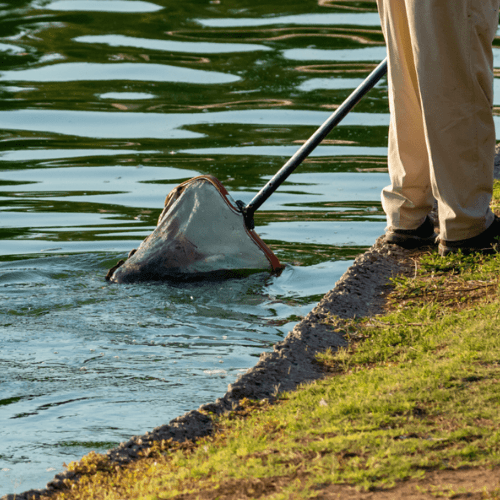 Design sans titre (23) min (1)