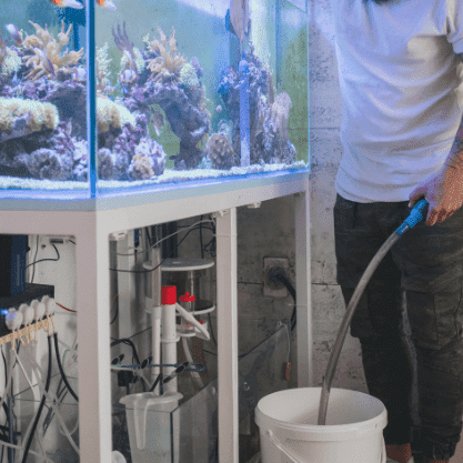 homme faisant un changement d'eau sur un aquarium récifal