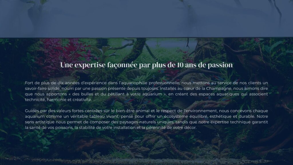 présentation des prestations de services dans l'entretien d'aquarium à domicile, présentation des qualités professionnelles et de l'expérience