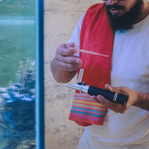 tests de l'eau de l'aquarium