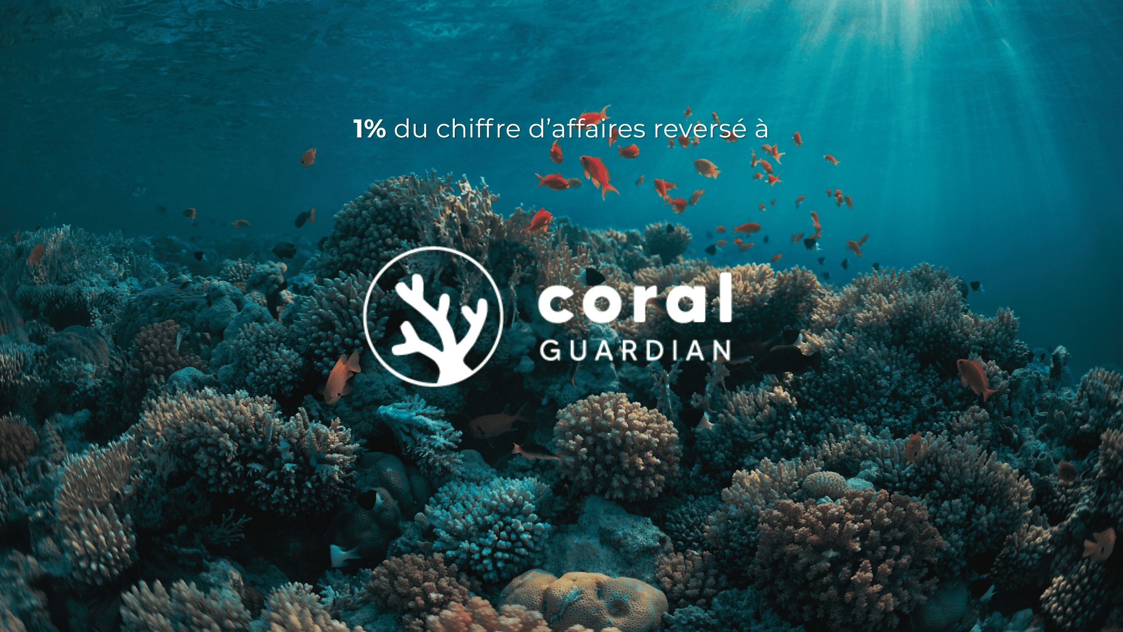 image de récif coralien démontrant l'engagement de SCAPHANDR auprès de Coral Guardian, une ONG Française protégeant et restaurant les récifs coraliens.