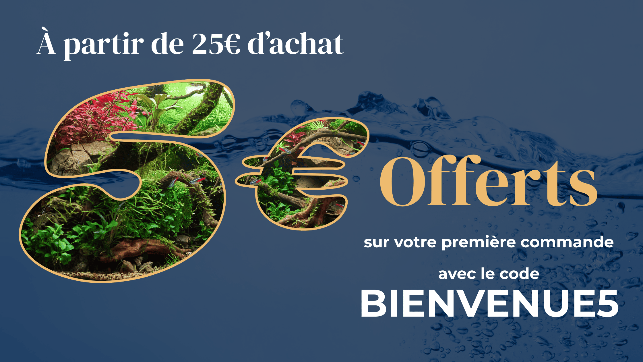 offre de 5€ a partir de 25€ d'achat sur la boutique en ligne d'aquariophilie, scaphandr.fr