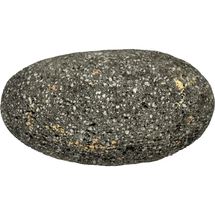 roche pour aquarium black stars superfish