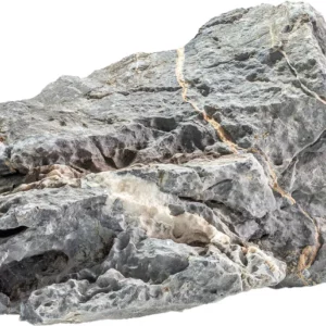 seiryu stone roche aquarium superfish